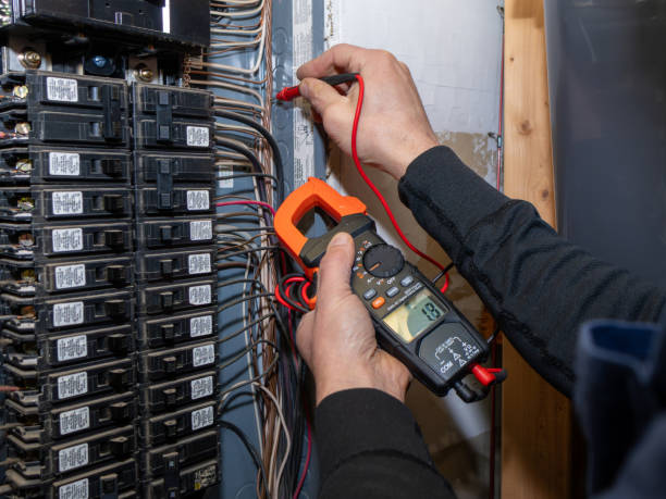 Best Electric Panel Repair  in Lavallette, NJ